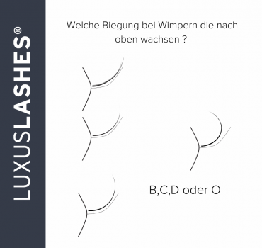 Luxuslashes Wimpern Curl Biegung 